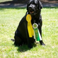 JP’s first win in Rally…