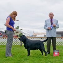 JP wins at Lost Coast KC!