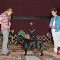 Reserve Winners Bitch at Reno KC