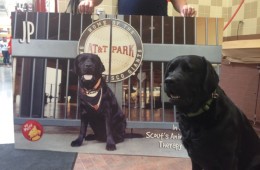 JP supports Pet Food Express’ MyMutt Program