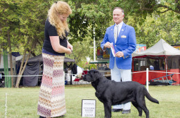 Robin was Reserve Winners Bitch 9/13/15